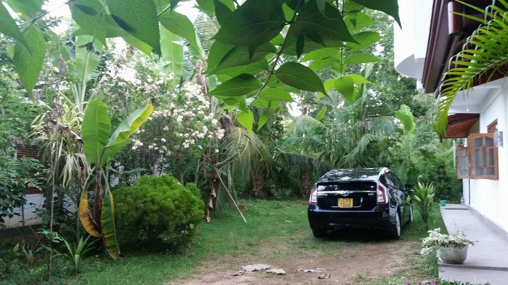 Nature Villa 坦加拉 外观 照片