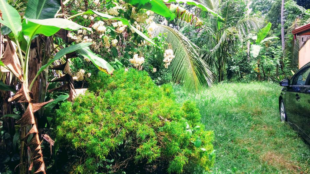 Nature Villa 坦加拉 外观 照片
