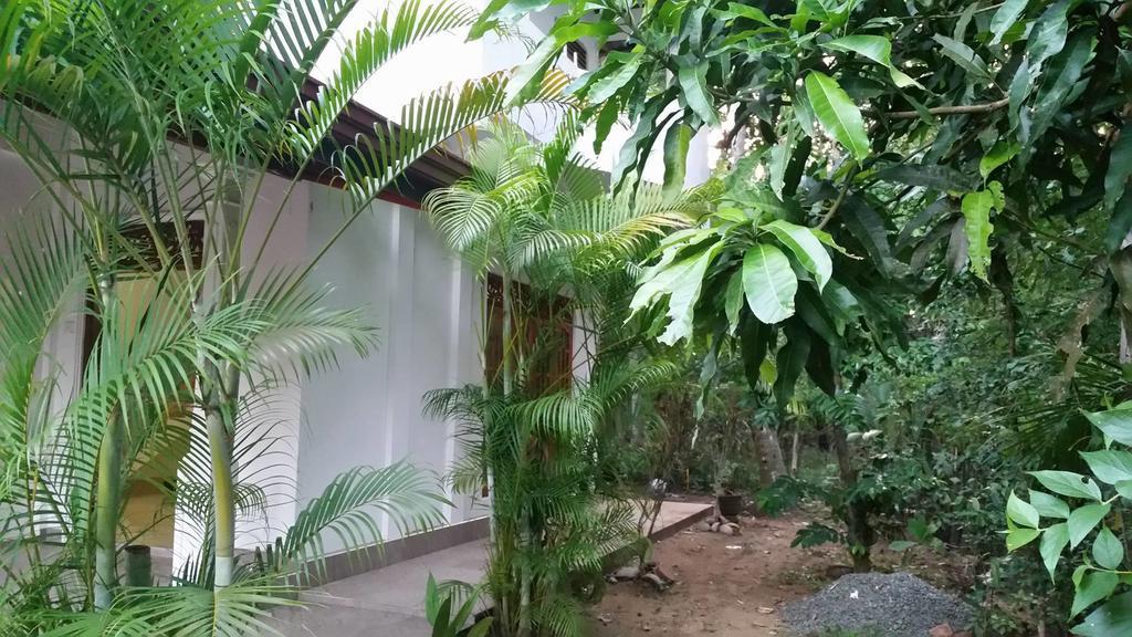 Nature Villa 坦加拉 外观 照片