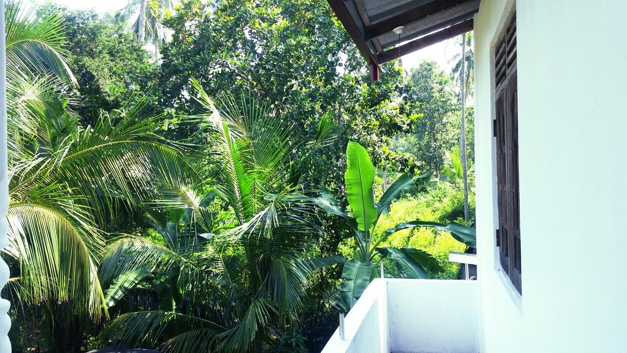 Nature Villa 坦加拉 外观 照片